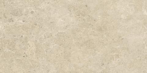 NYRA Sunlight 60x120  