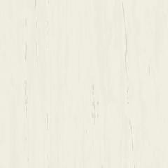 Marvel Dolomite 120x120