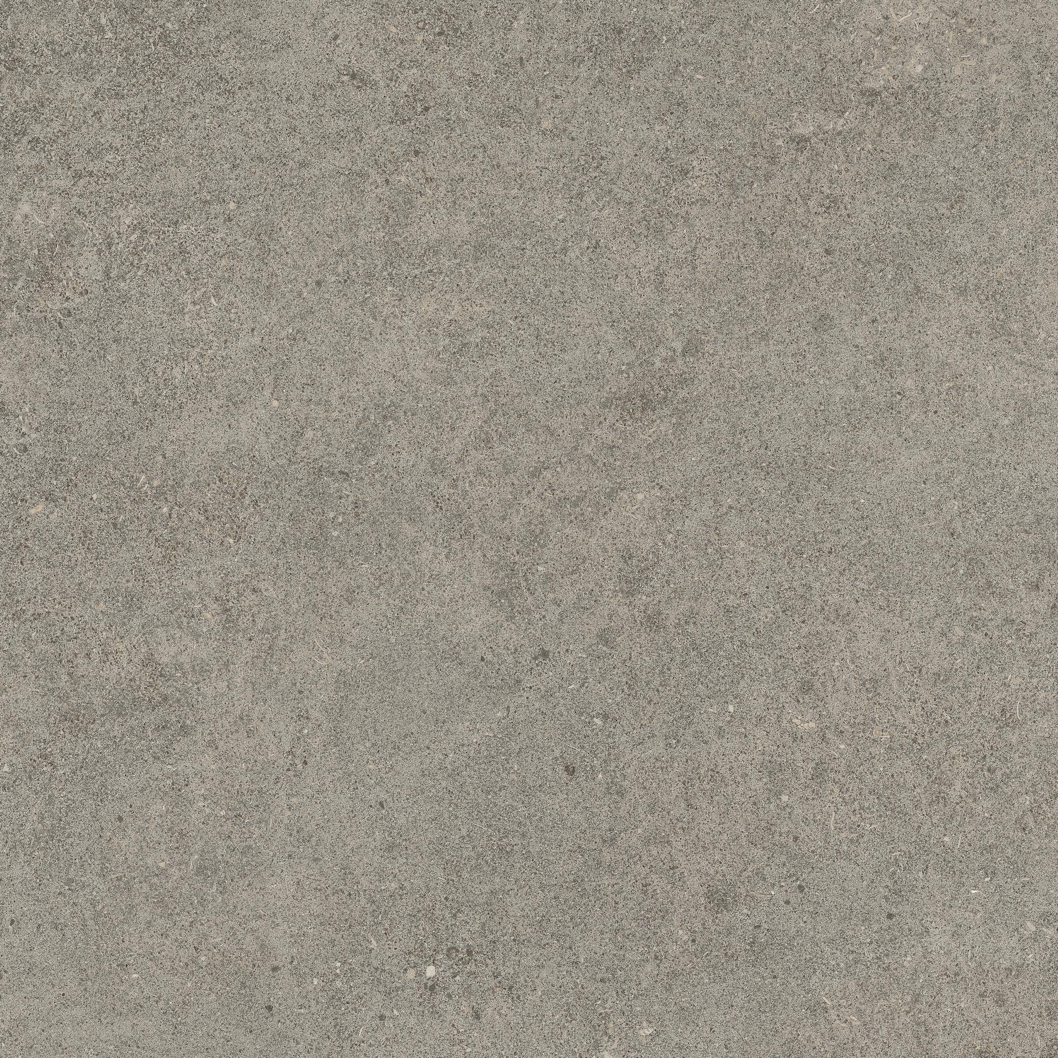 Forte dei Marmi Rock Lunar Grey 60x60 Структурированный, Серый, 60x60