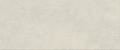 Boost Expression Ice  50x120  