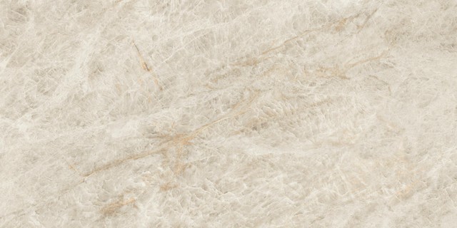 Marvel Diva Taj Mahal 60x120 Lapp. 