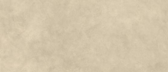 Boost Expression Tan 120x278 - 6mm  