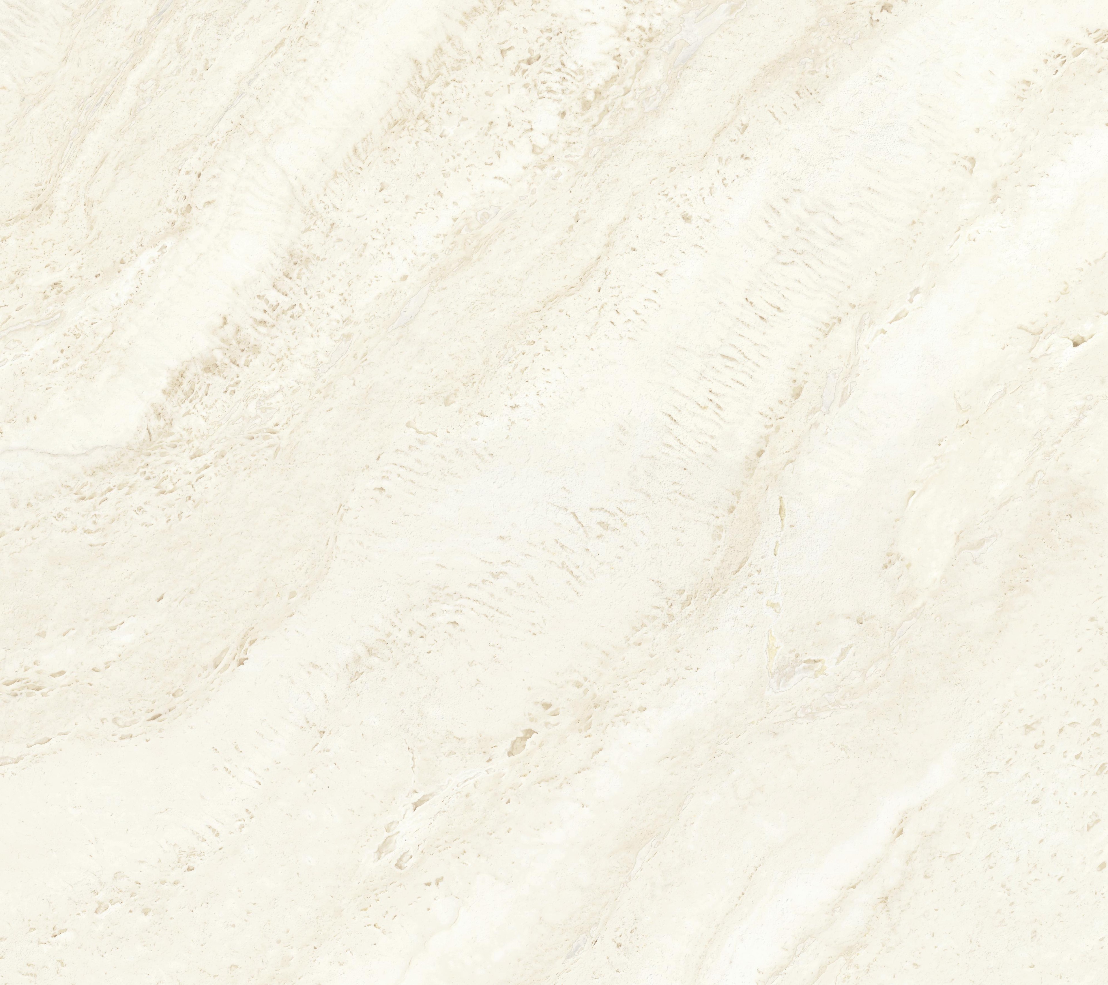 Halo White