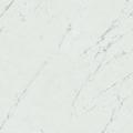 Marvel Carrara Pure 60x60