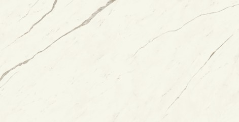Marvel Calacatta Sublime 120x240 Lappato