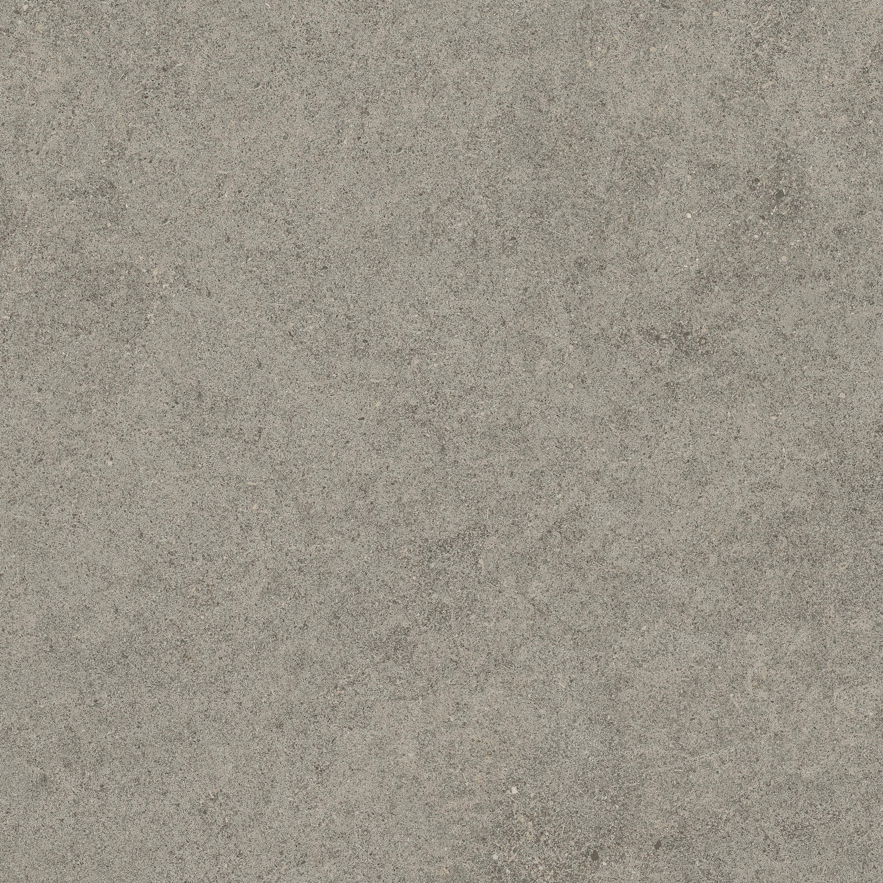 Forte dei Marmi Rock Lunar Grey 60x60 Структурированный, Серый, 60x60