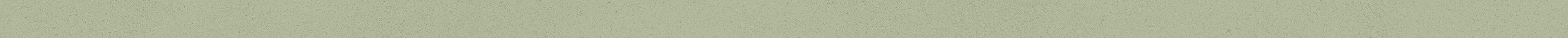 FACTOR Forest Listel Metal