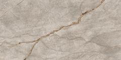 EMPIRE SILVER ROOT Rett 60x120 Lapp
