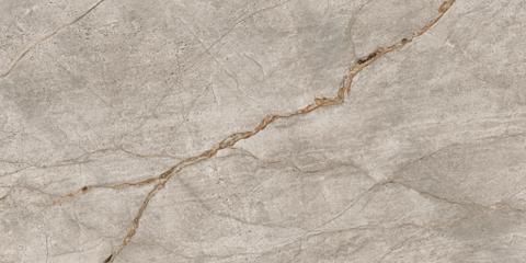 EMPIRE SILVER ROOT Rett 60x120 Lapp