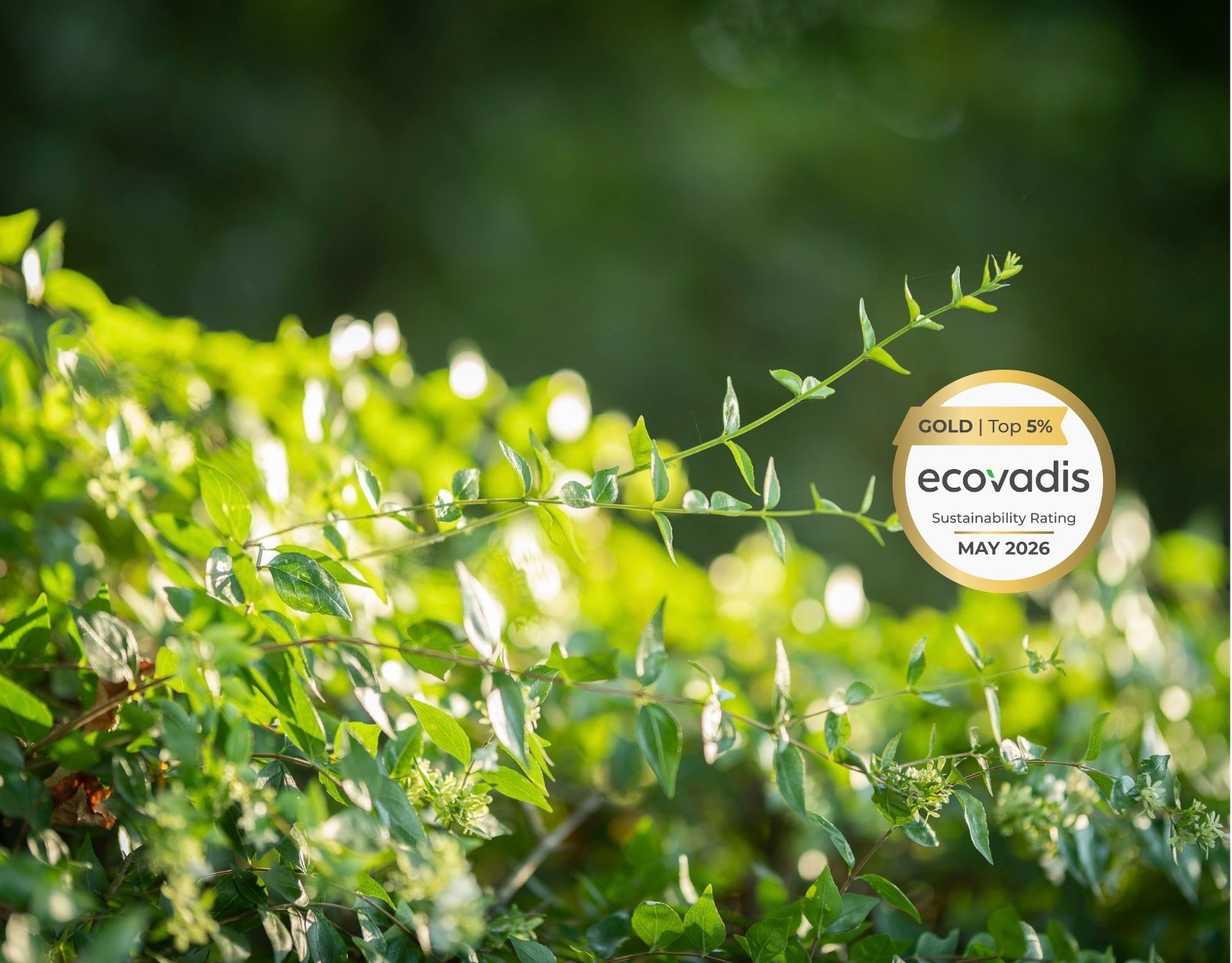Ecovadis26