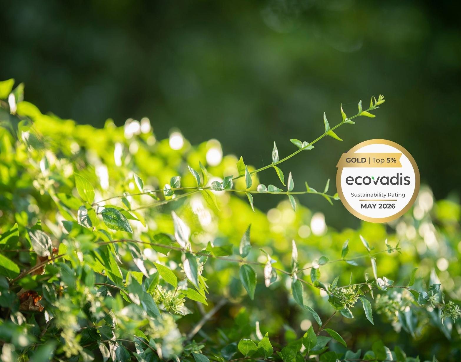 Ecovadis26