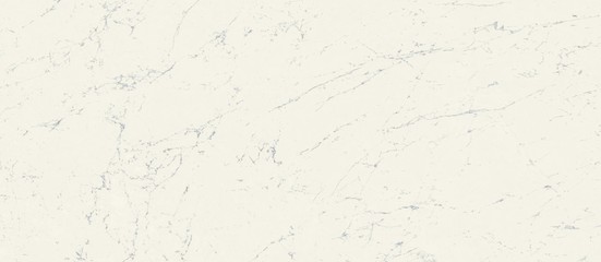 Marvel Carrara Lappato 120x278