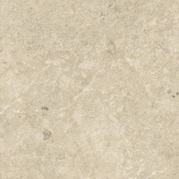 NYRA Sunlight 60x60  