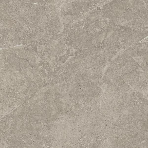 DUOLITH FOSSIL 60x60  