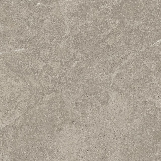 DUOLITH FOSSIL 60x60  