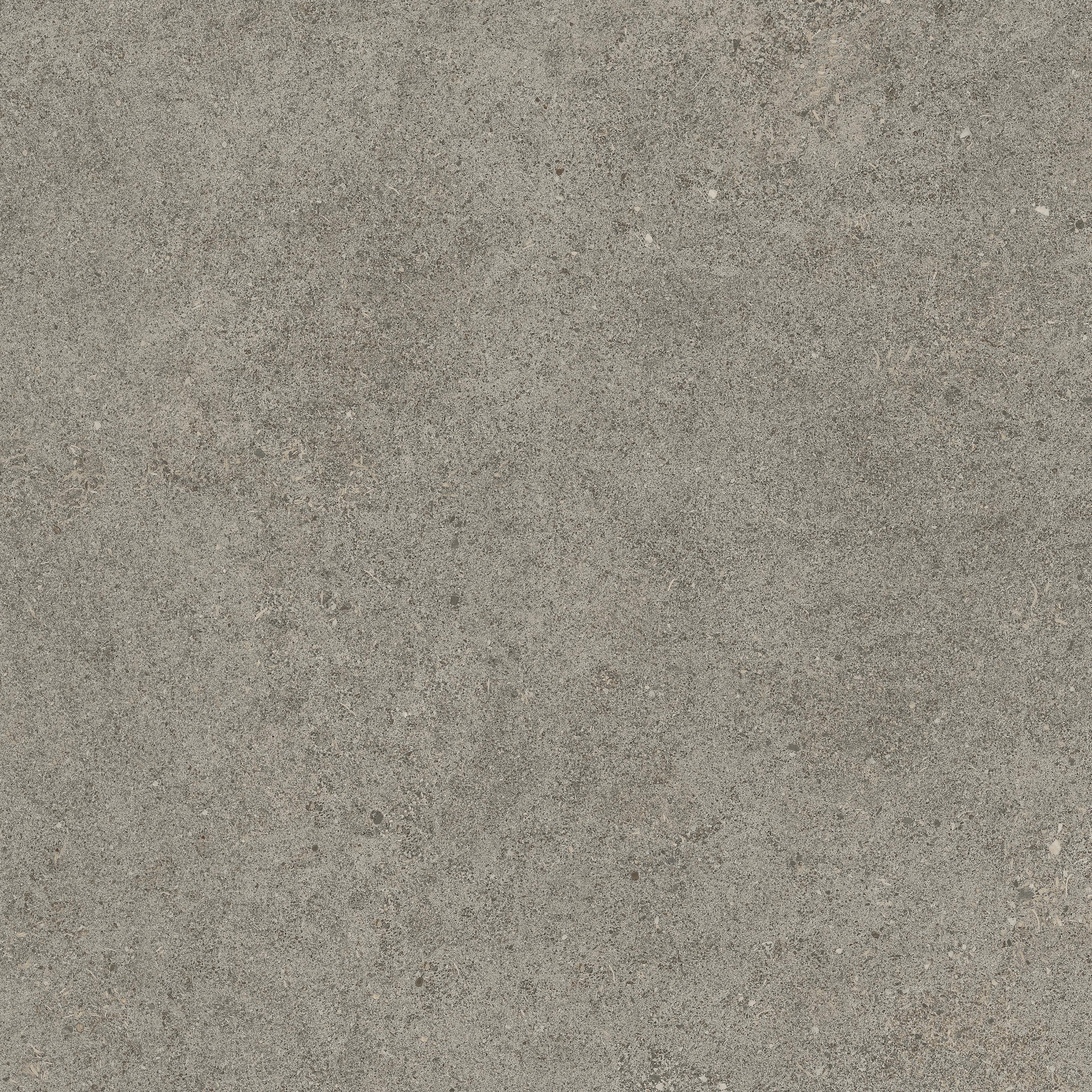 Forte dei Marmi Rock Lunar Grey 60x60 Структурированный, Серый, 60x60