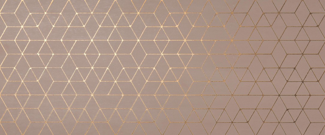 AtlasConcorde Mek Rose Hexagon 50x120 A4T9 R