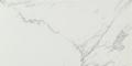 Marvel Calacatta Extra Extra 30x60