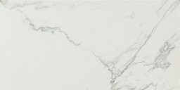 Marvel Calacatta Extra Extra 30x60