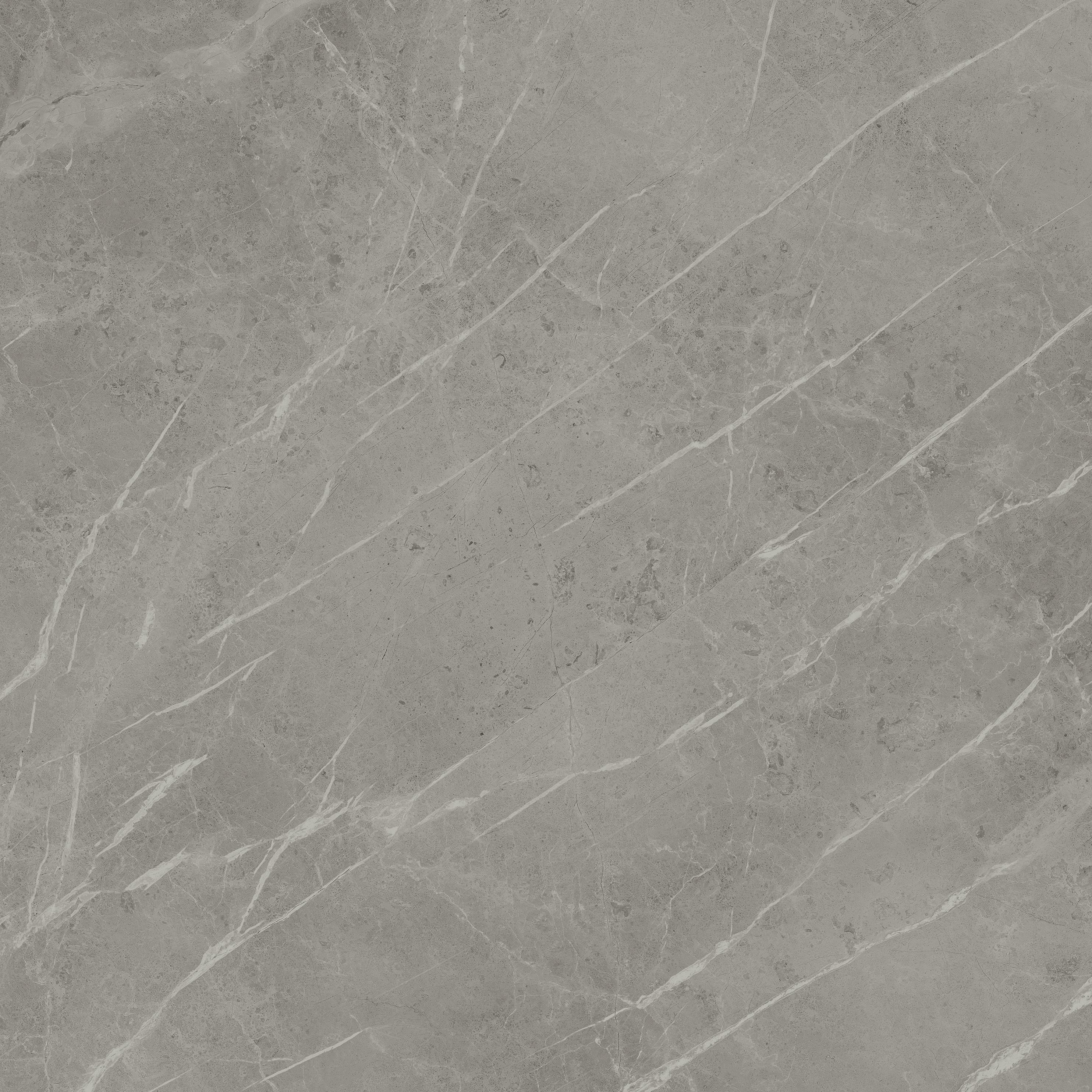 AtlasConcorde MarvelPro GreyFleury 120x120 Matte A205 1