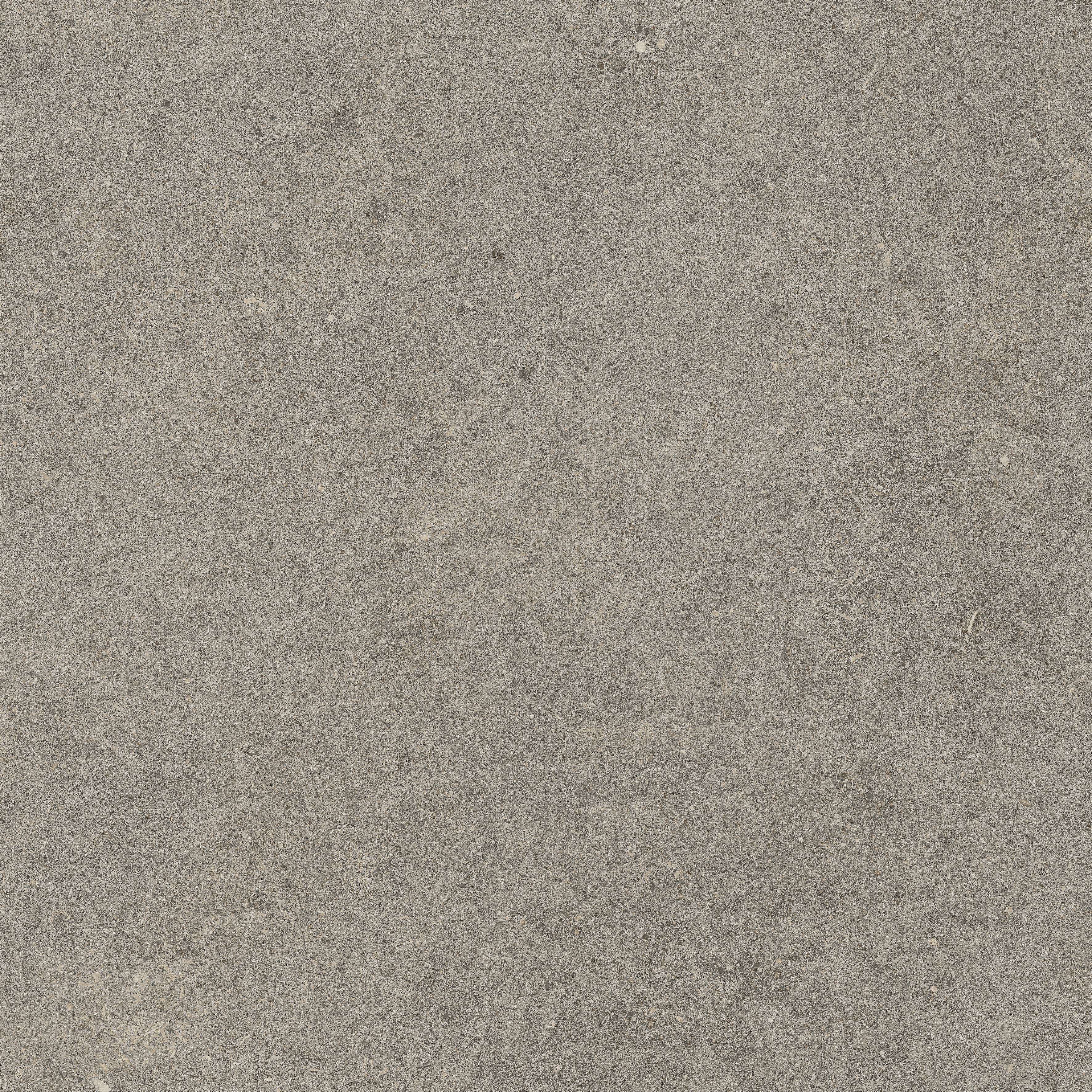 Forte dei Marmi Rock Lunar Grey 60x60 Структурированный, Серый, 60x60