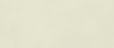 Boost Color Salix 50×120