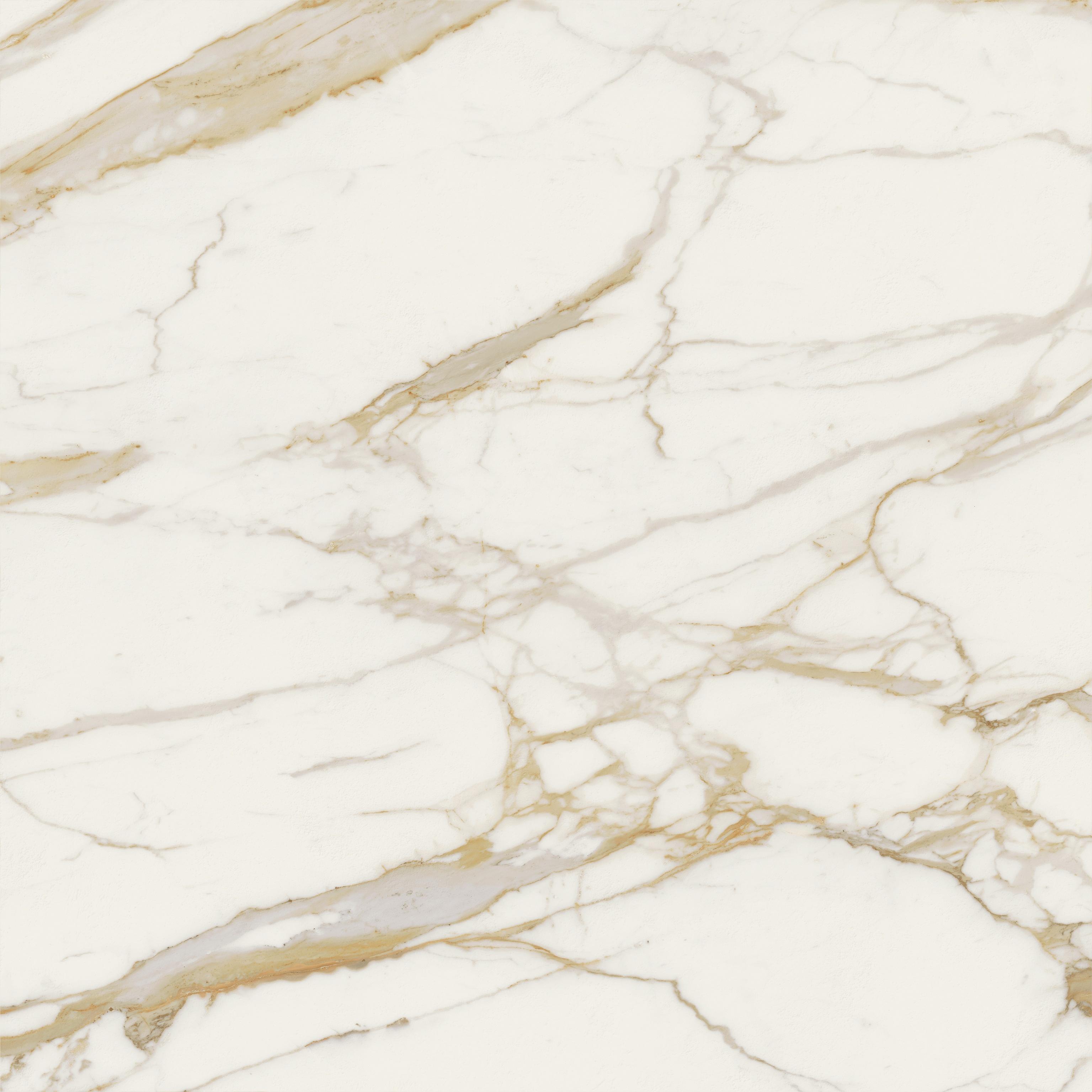 Marvel Next Calacatta Oro 120x120 Matte Sensitech, White, 120x120