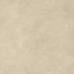 Boost Expression Tan 120x120  