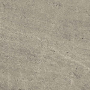Wise Silver Grey 60x60 Lap
