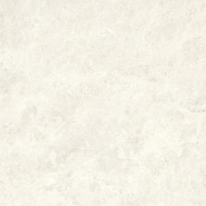 Compact Bone 30x30