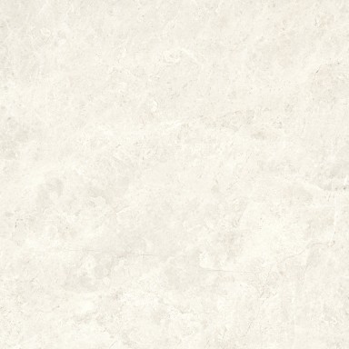 Compact Bone 30x30