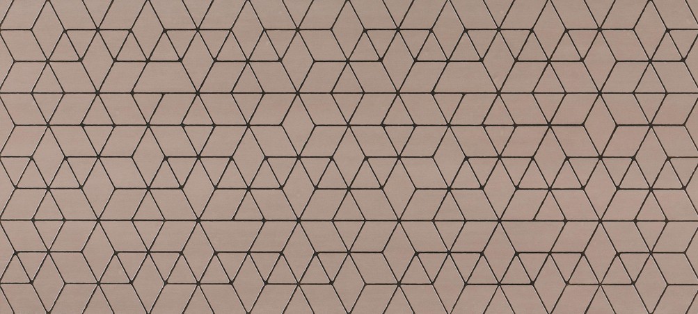AtlasConcorde Mek Rose Hexagon 50x110 4MHO