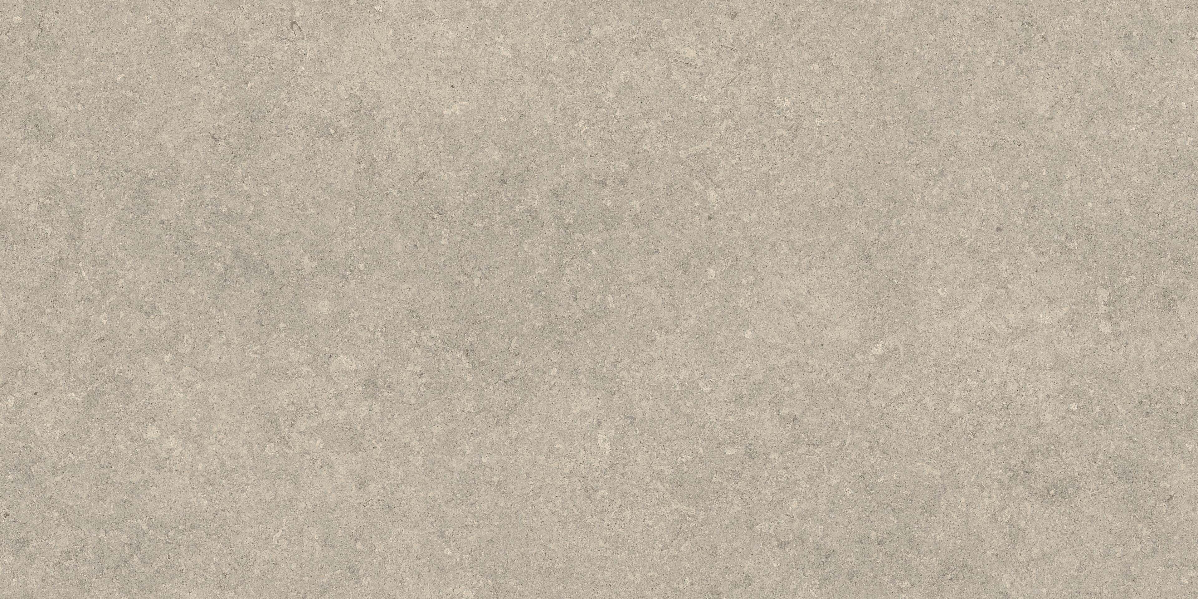 Nyra Utopia Comet 120x240 Matte Sensitech, Light gray, 120x240