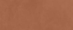 PRISM Caramel 50X120
