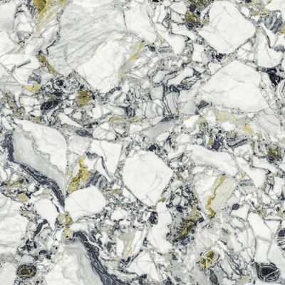 Forte dei Marmi Quark Ceppo Apuano Forest Rett 80x80
