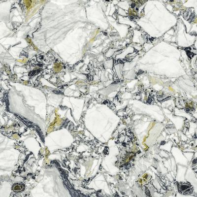 Forte dei Marmi Quark Ceppo Apuano Forest Rett 80x80
