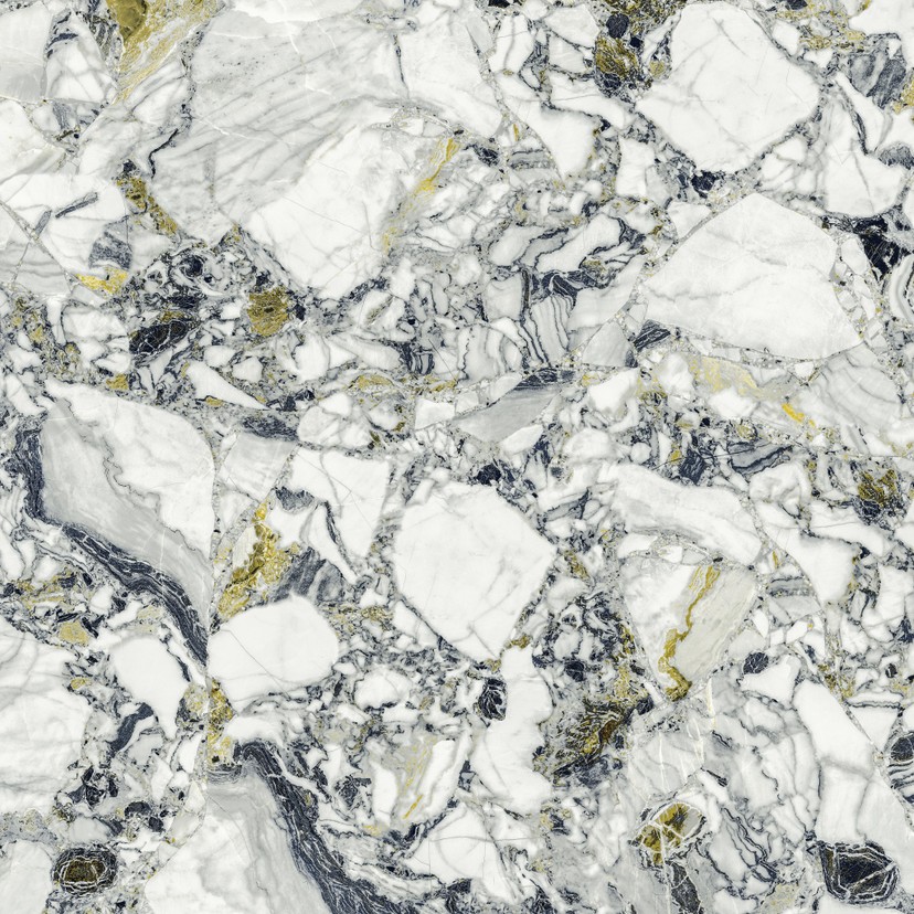 Forte dei Marmi Quark Ceppo Apuano Forest Rett 80x80