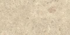 NYRA Ambrosia 60x120  