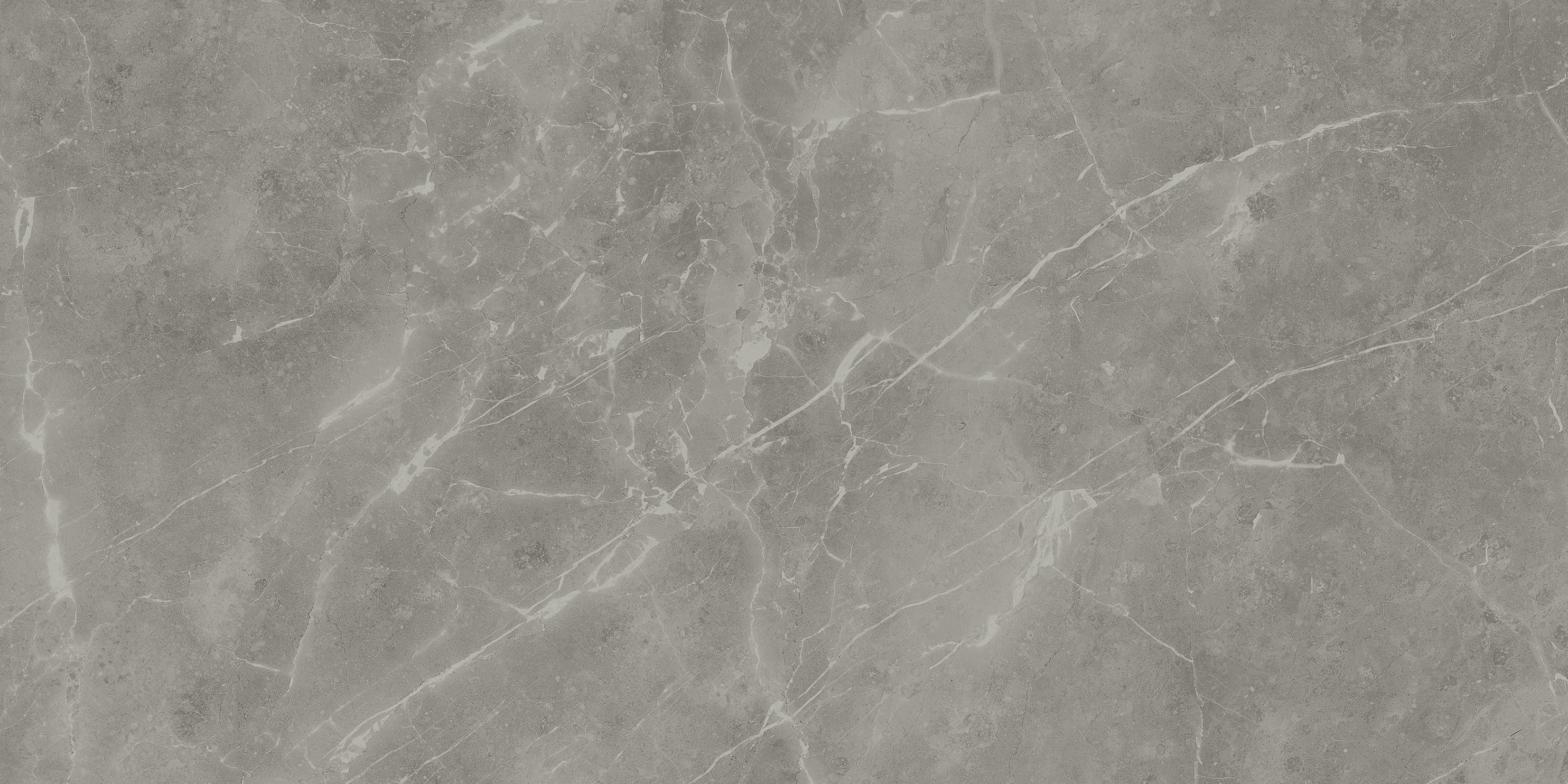 AtlasConcorde MarvelPro GreyFleury 60x120 Polished A21F 4