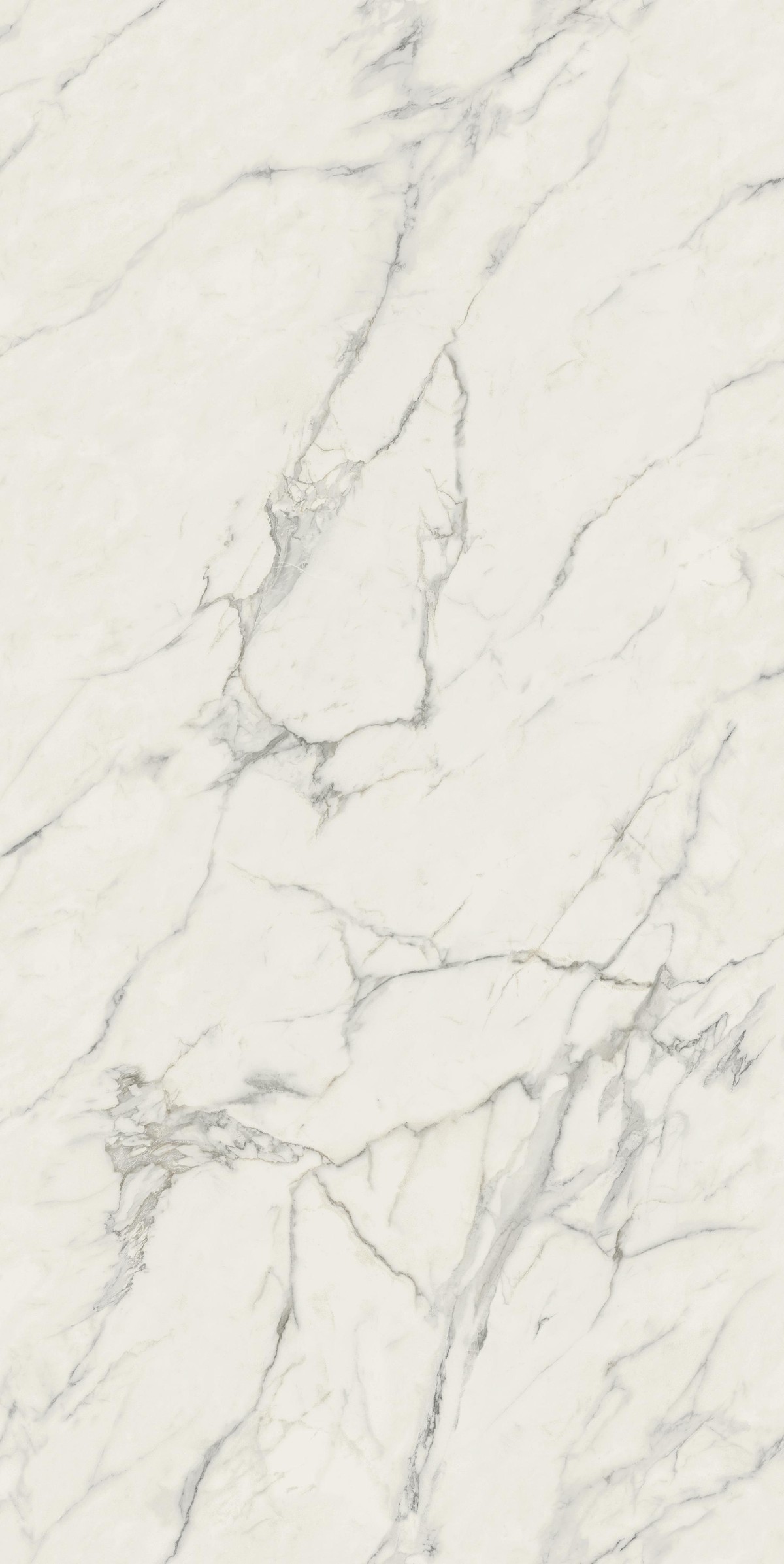 Marvel Calacatta Extra 120x278 Kit Endless Lp 4pcs
