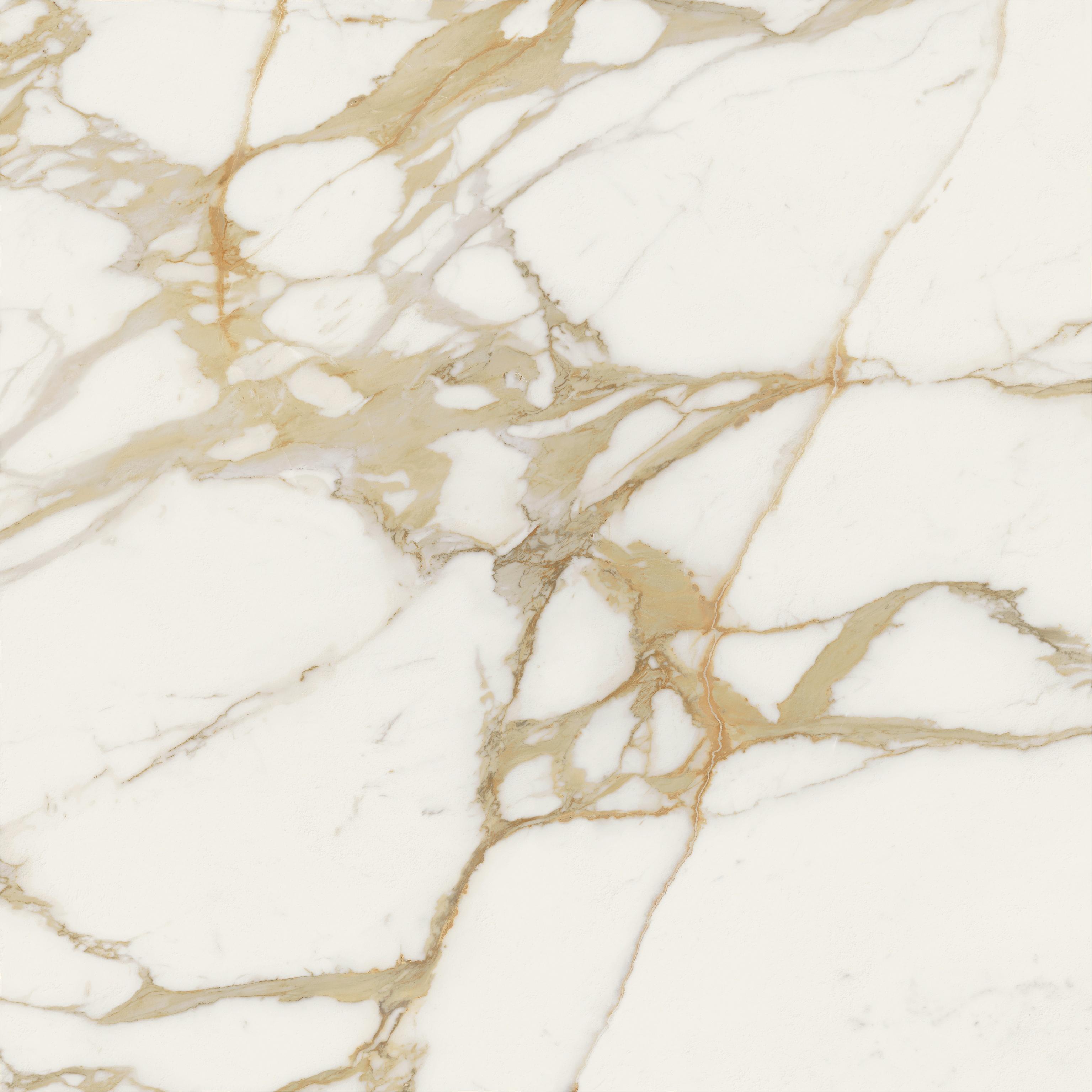 Marvel Next Calacatta Oro 120x120 Matte Sensitech, White, 120x120