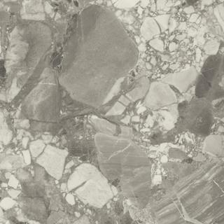 Forte dei Marmi Ceppo Apuano Pearl Rett 80x80
