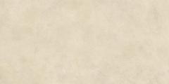 Boost Expression Camel 60x120  