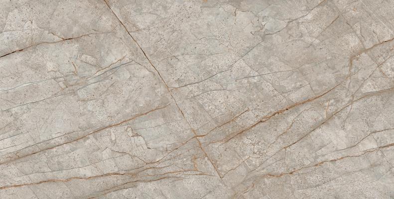 EMPIRE SILVER ROOT 80x160
