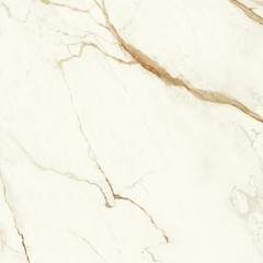 MARVEL Calacatta Imperiale 120x120 Lappato