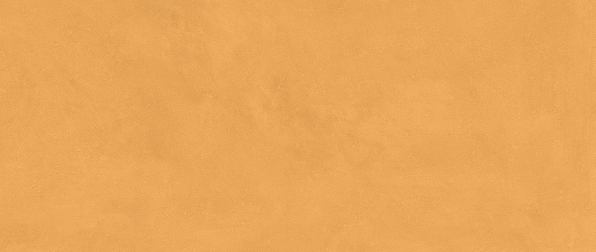 Vivia Crelis Ochre 50x120 Lucido 