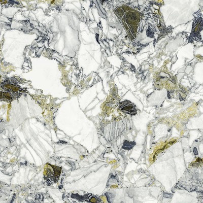 Forte dei Marmi Quark Ceppo Apuano Forest 80x80 Lapp