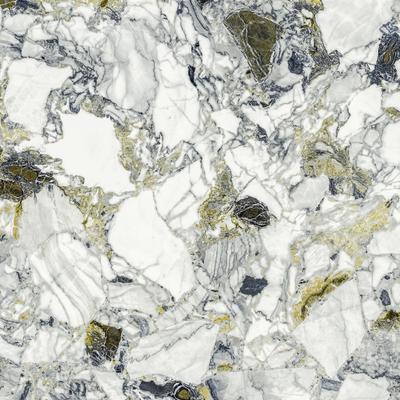 Forte dei Marmi Quark Ceppo Apuano Forest 80x80 Lapp