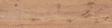 FABLE Honey 22.5x90