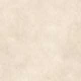 Boost Expression Shell 80x80  